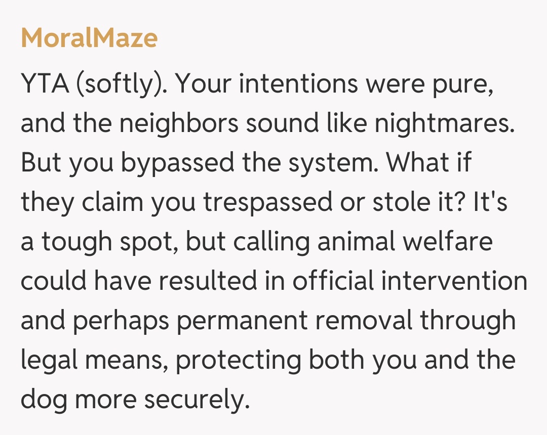 Comentariu de la MoralMaze
