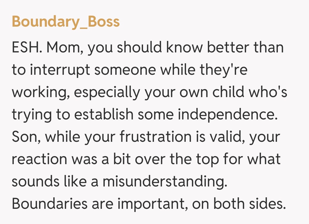 Comentariu de la Boundary_Boss