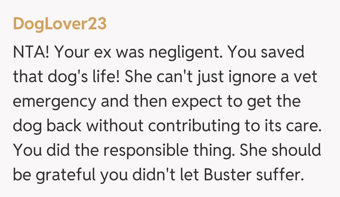 Comentariu de la DogLover23