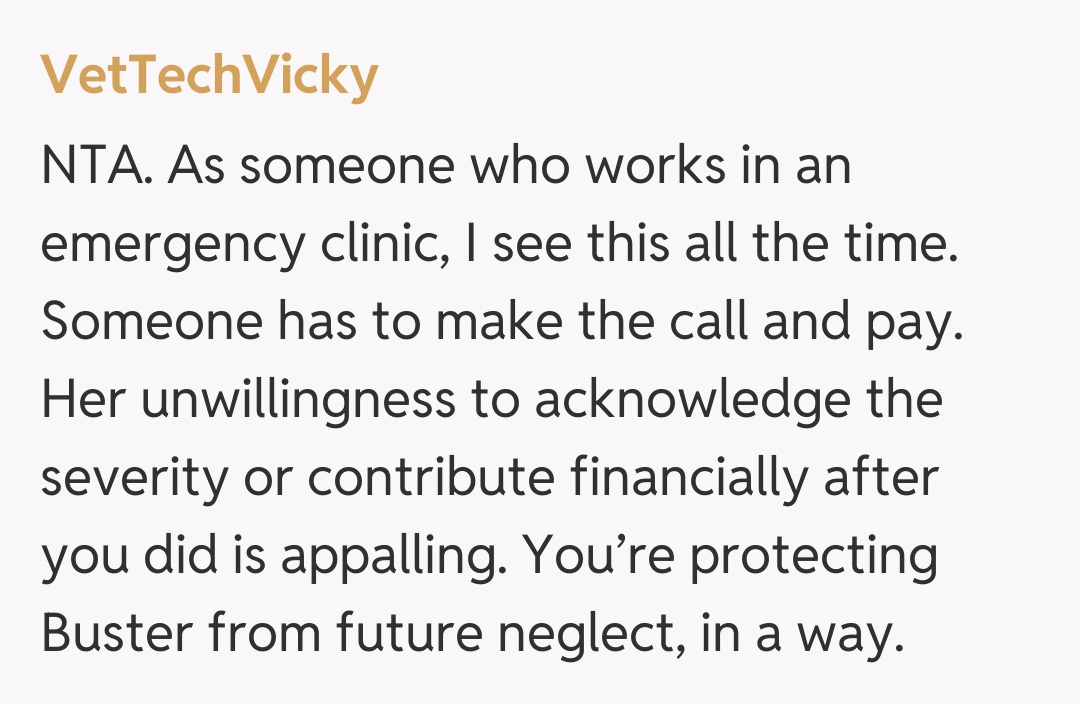 Comentariu de la VetTechVicky