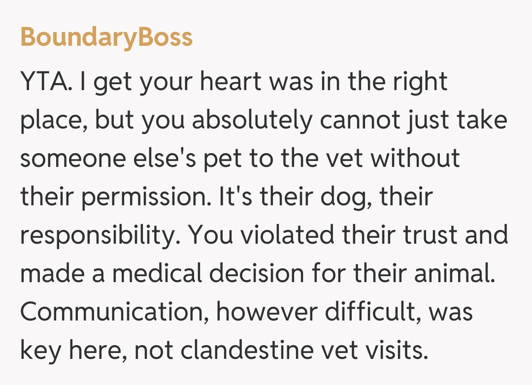 Comentariu de la BoundaryBoss