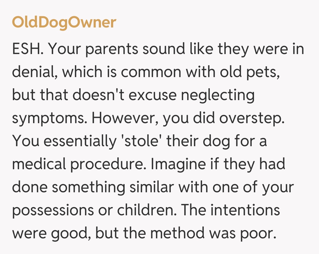 Comentariu de la OldDogOwner