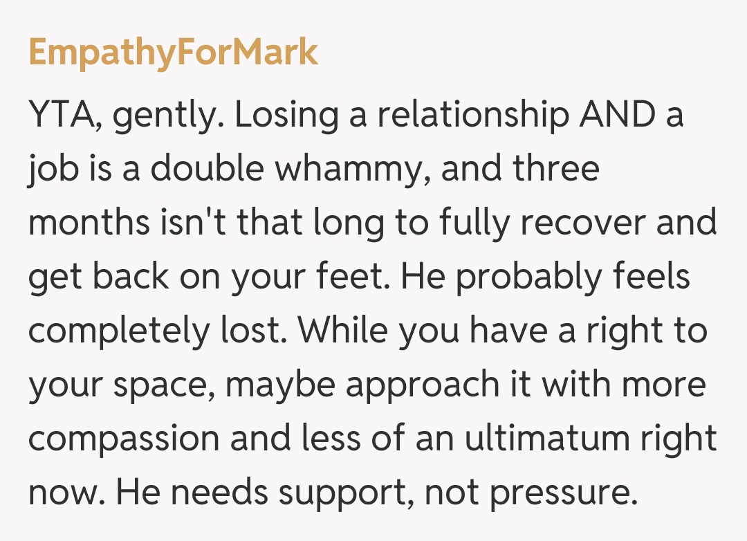 Comentariu de la EmpathyForMark