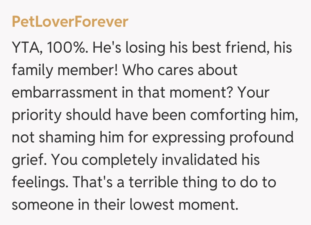 Comentariu de la PetLoverForever