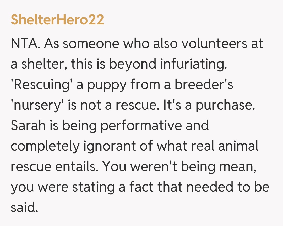 Comentariu de la ShelterHero22