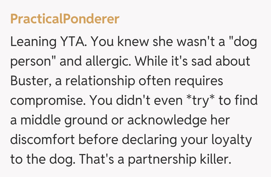 Comentariu de la PracticalPonderer