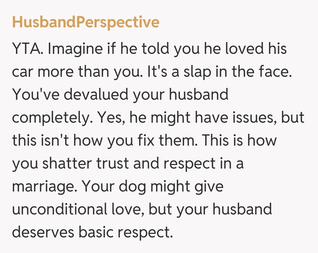 Comentariu de la HusbandPerspective
