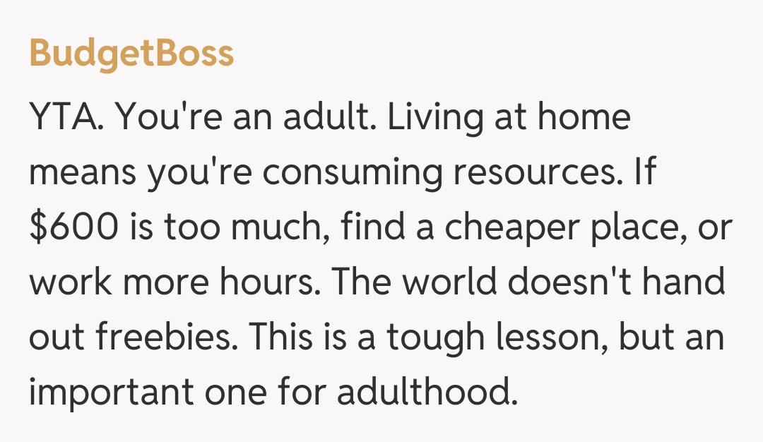 Comentariu de la BudgetBoss