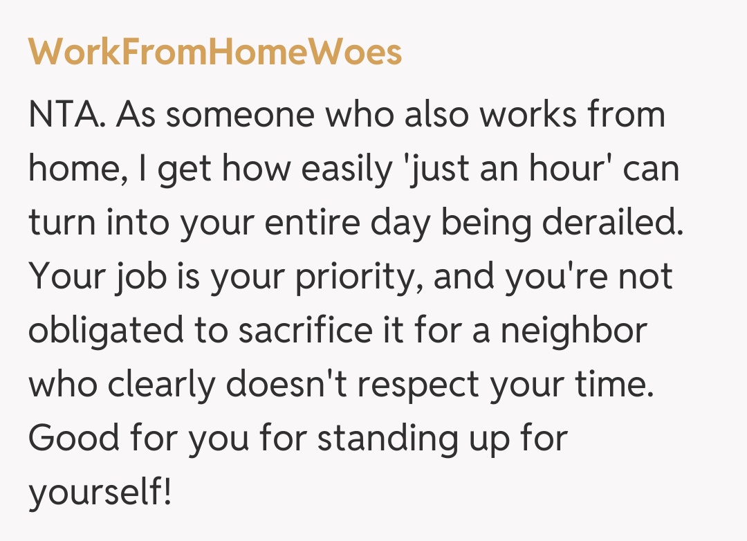 Comentariu de la WorkFromHomeWoes