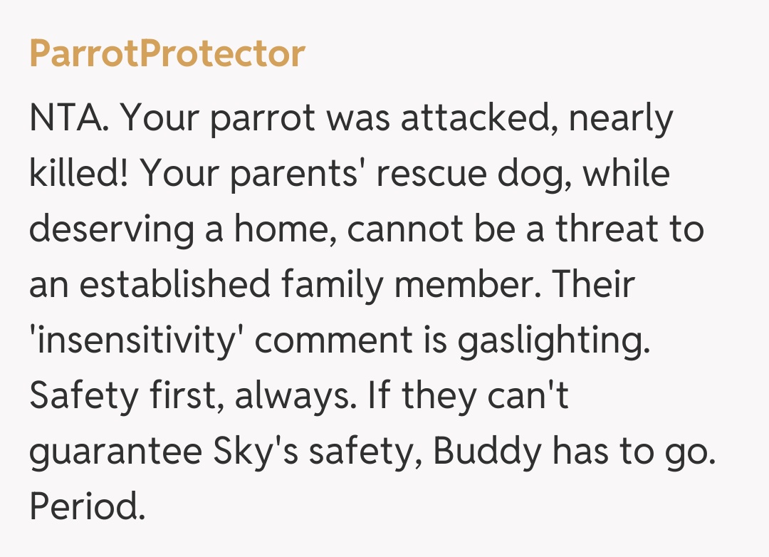 Comentariu de la ParrotProtector
