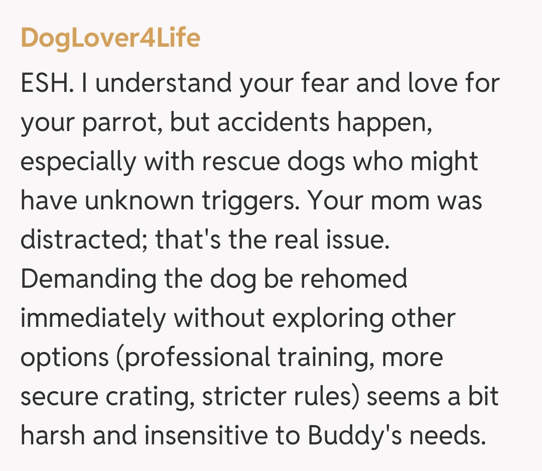Comentariu de la DogLover4Life