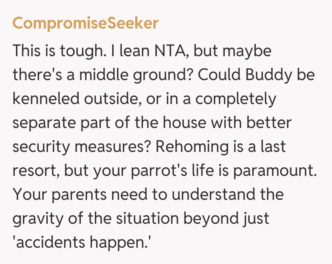 Comentariu de la CompromiseSeeker
