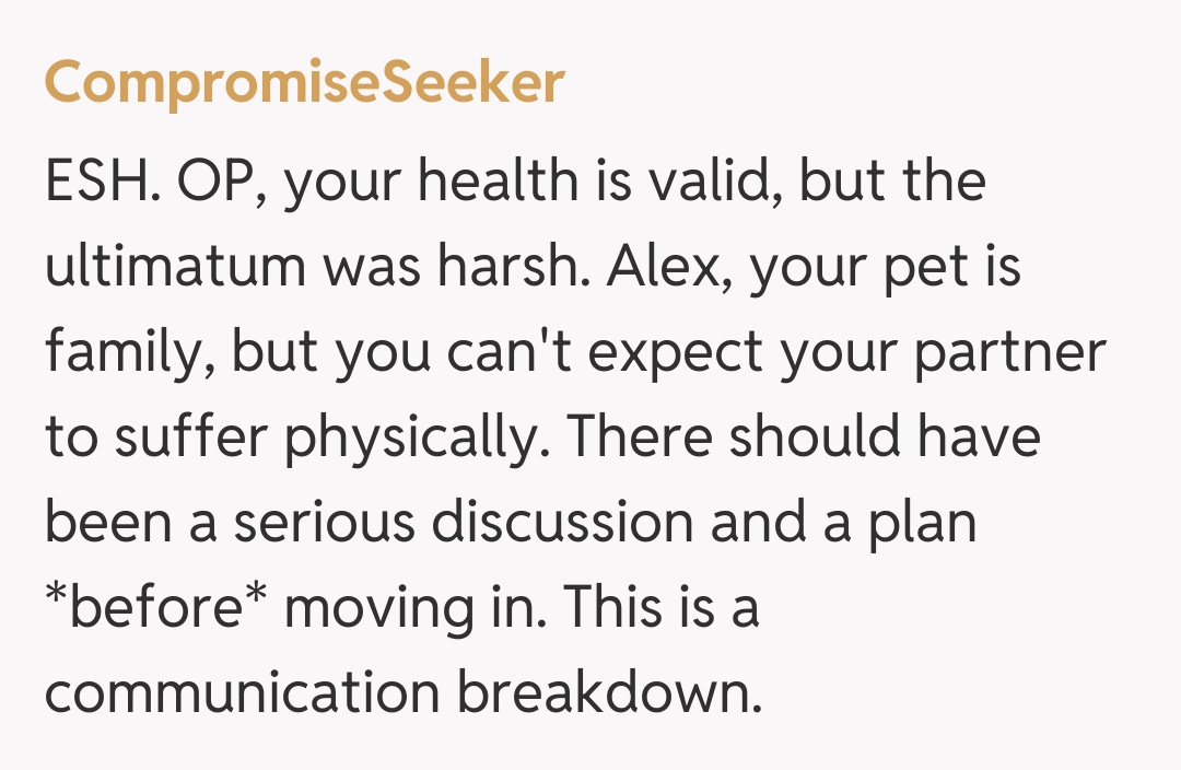 Comentariu de la CompromiseSeeker