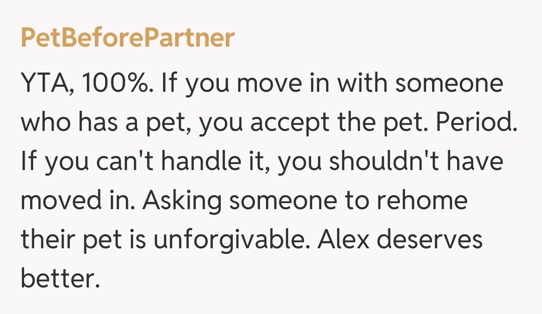 Comentariu de la PetBeforePartner
