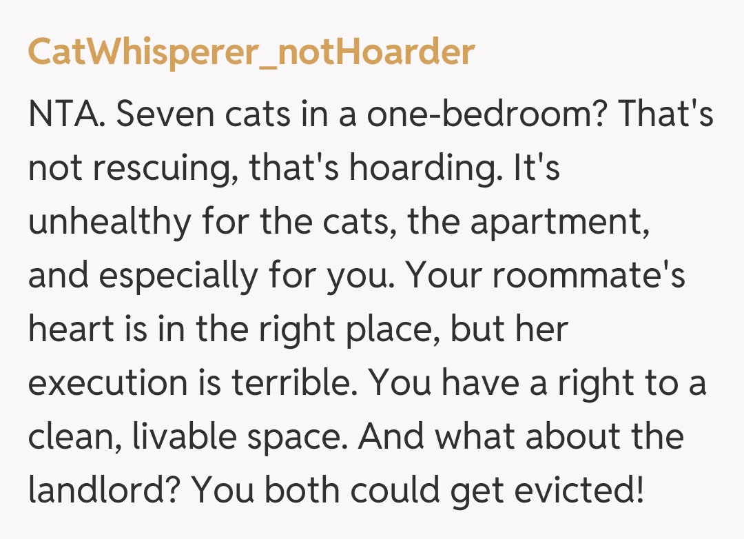 Comentariu de la CatWhisperer_notHoarder