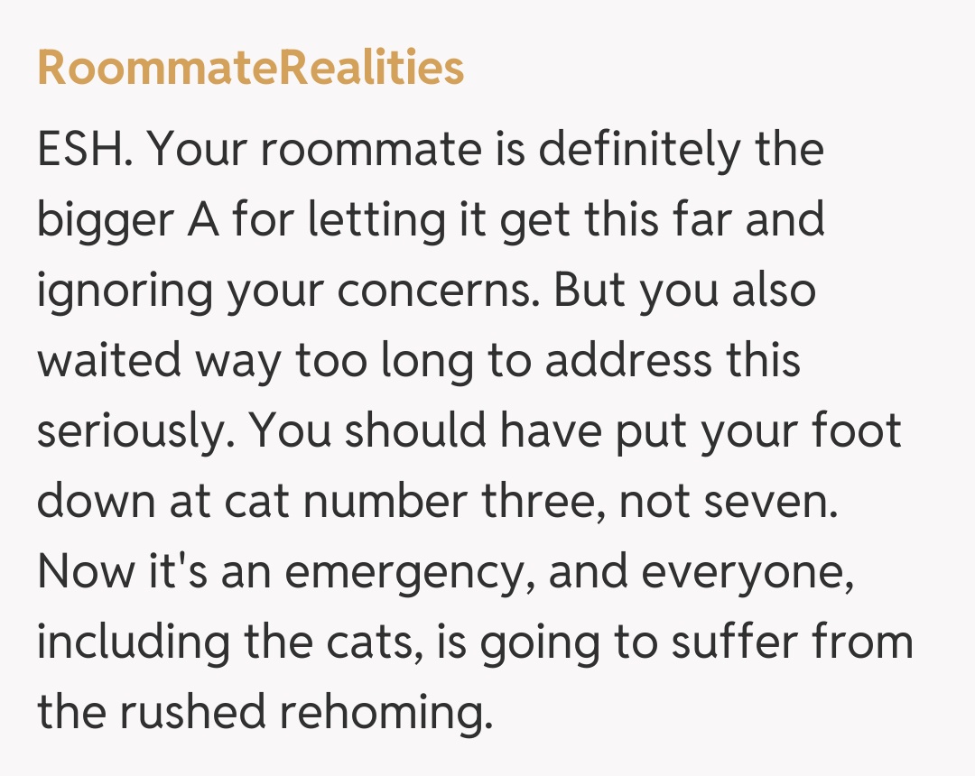 Comentariu de la RoommateRealities