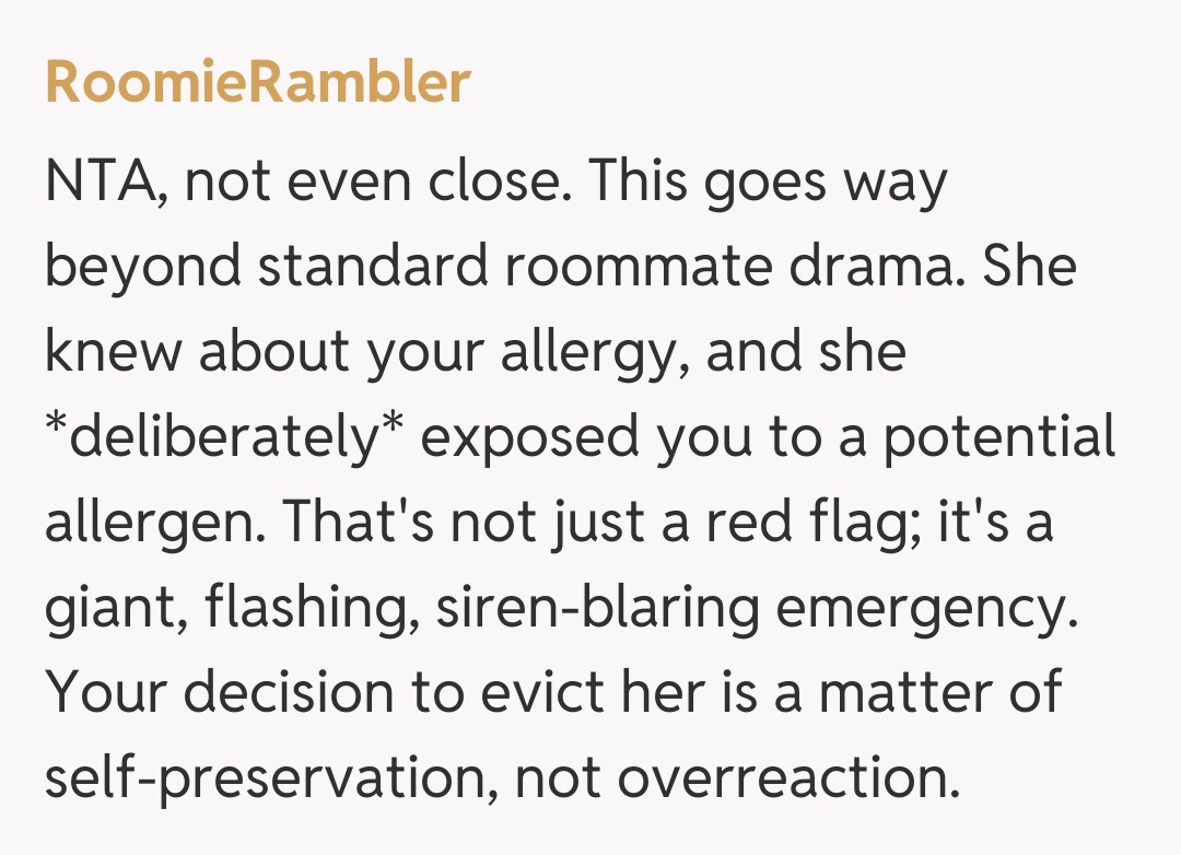 Comentariu de la RoomieRambler
