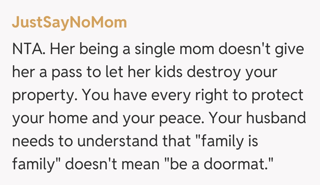 Comentariu de la JustSayNoMom