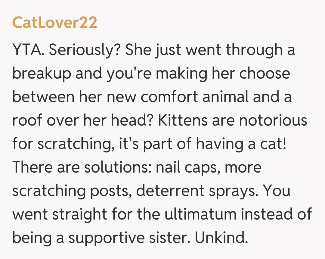 Comentariu de la CatLover22