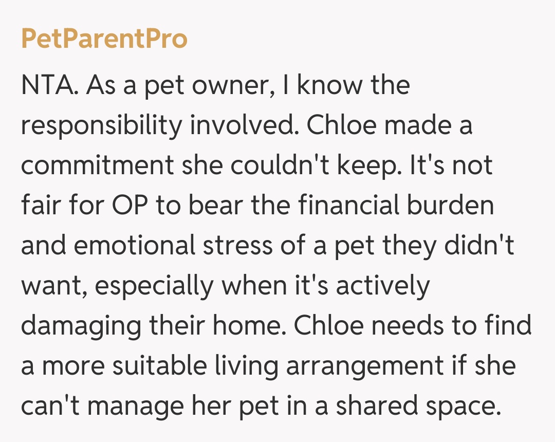 Comentariu de la PetParentPro