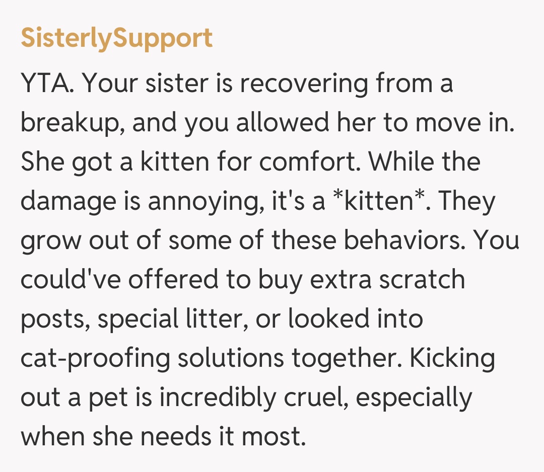 Comentariu de la SisterlySupport