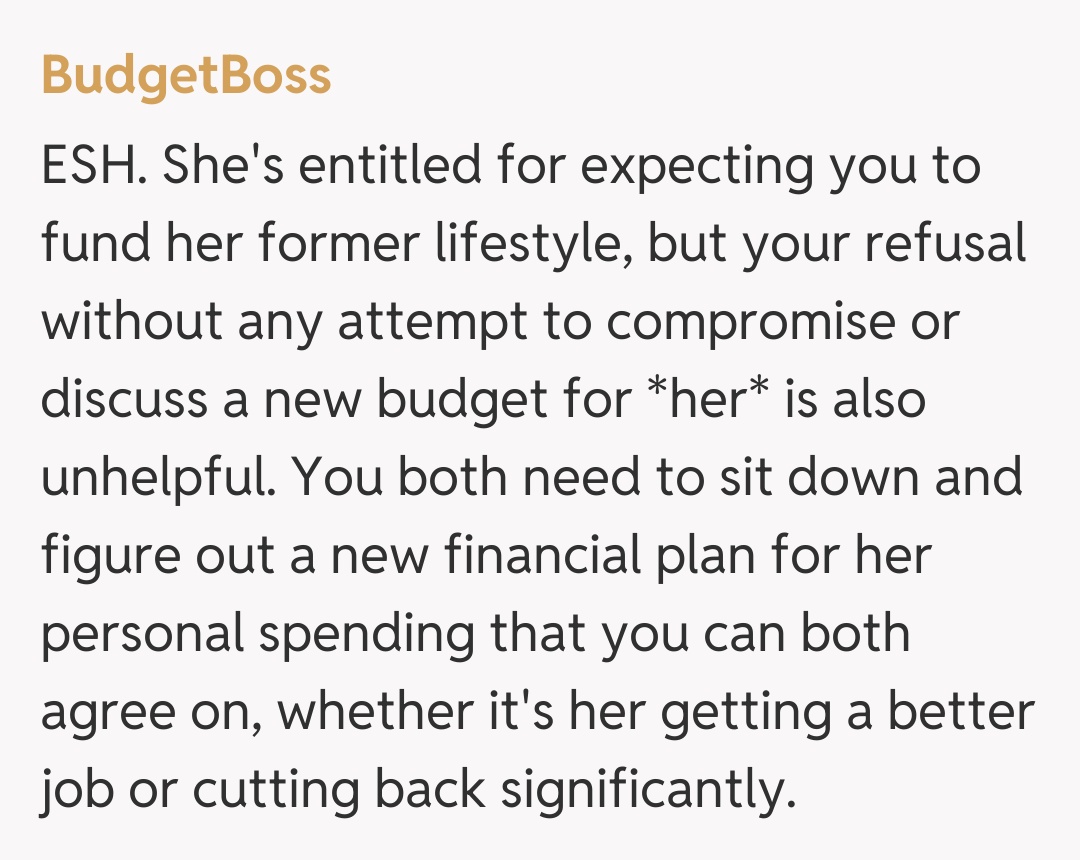 Comentariu de la BudgetBoss