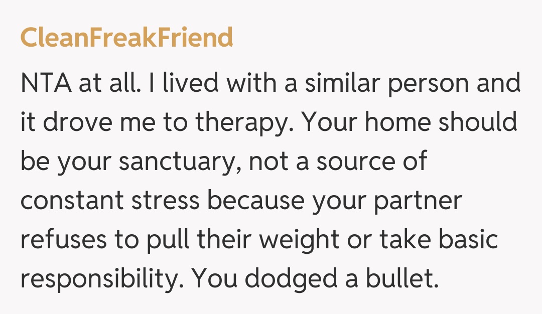 Comentariu de la CleanFreakFriend