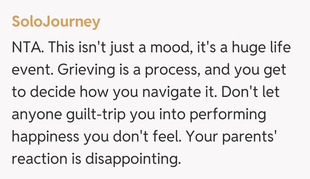 Comentariu de la SoloJourney