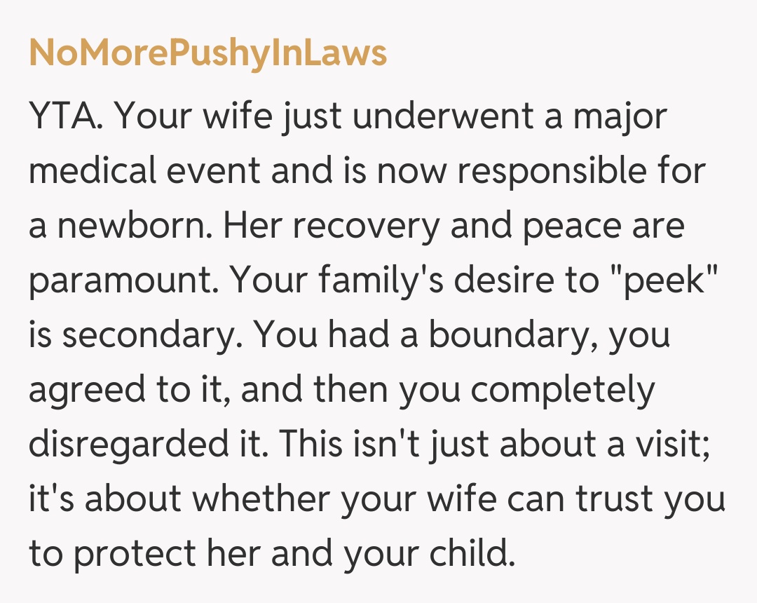 Comentariu de la NoMorePushyInLaws