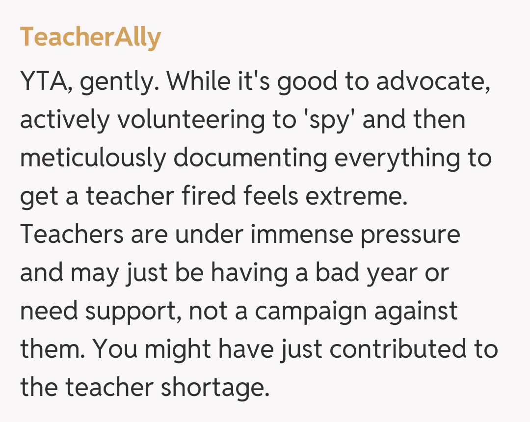 Comentariu de la TeacherAlly