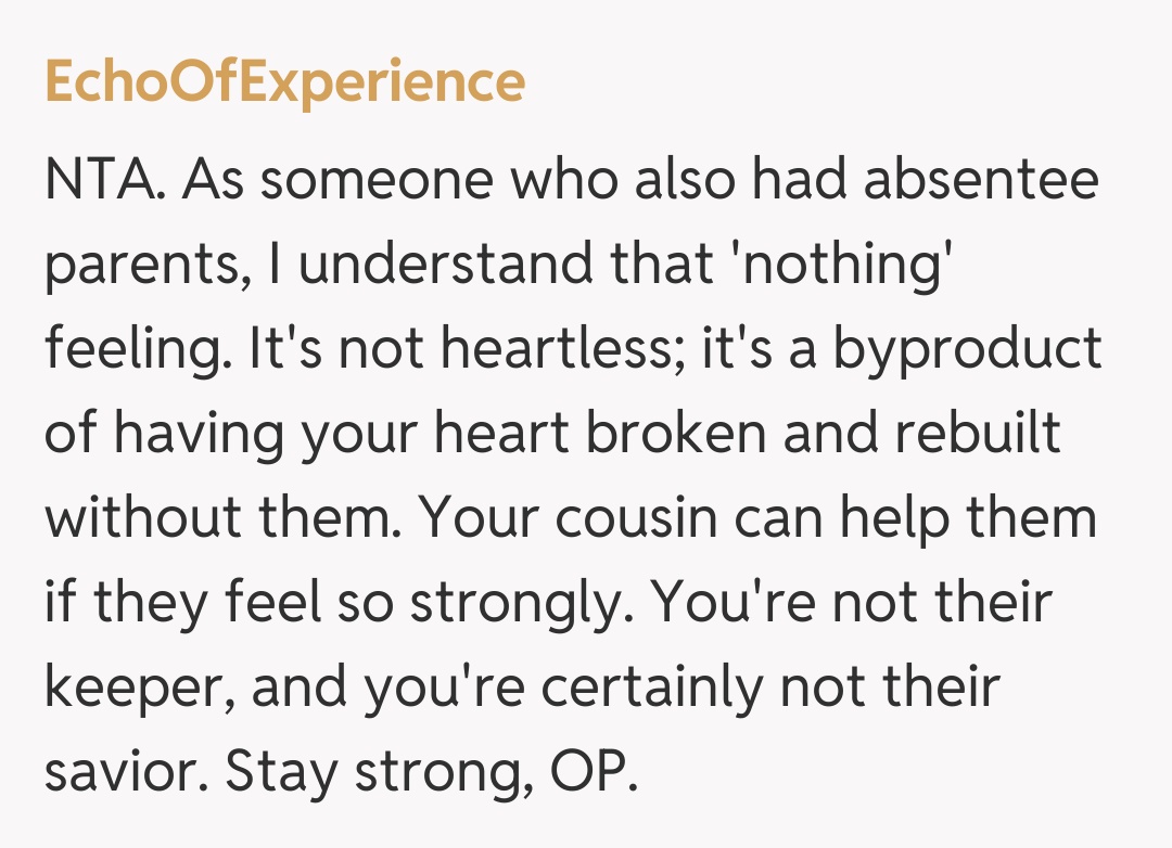 Comentariu de la EchoOfExperience