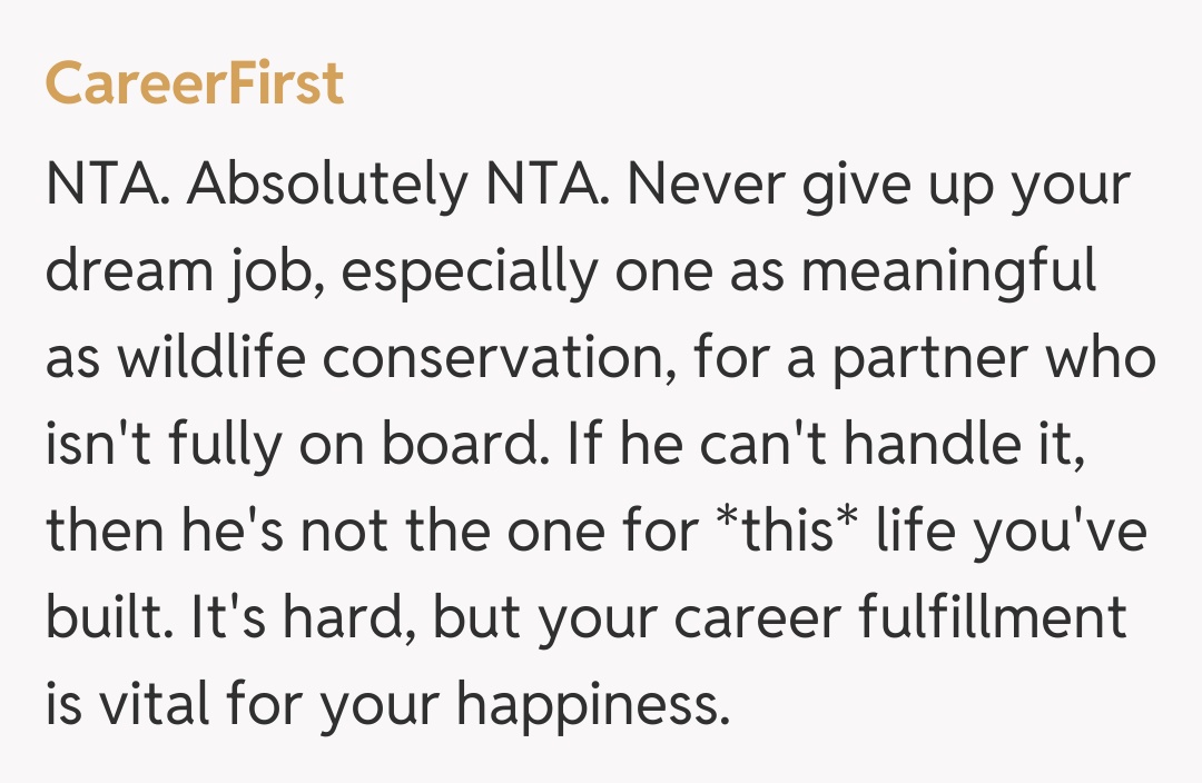 Comentariu de la CareerFirst
