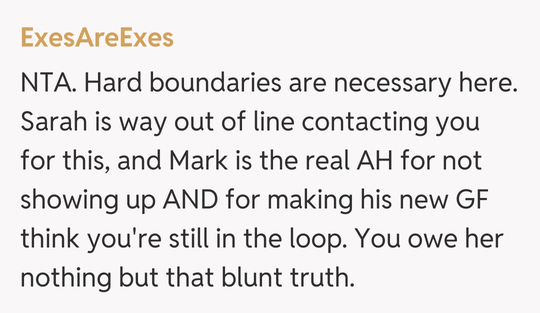 Comentariu de la ExesAreExes