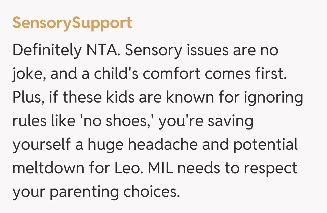 Comentariu de la SensorySupport