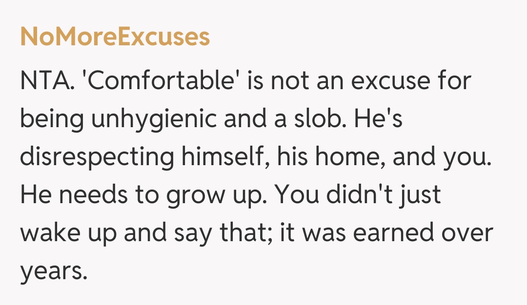 Comentariu de la NoMoreExcuses