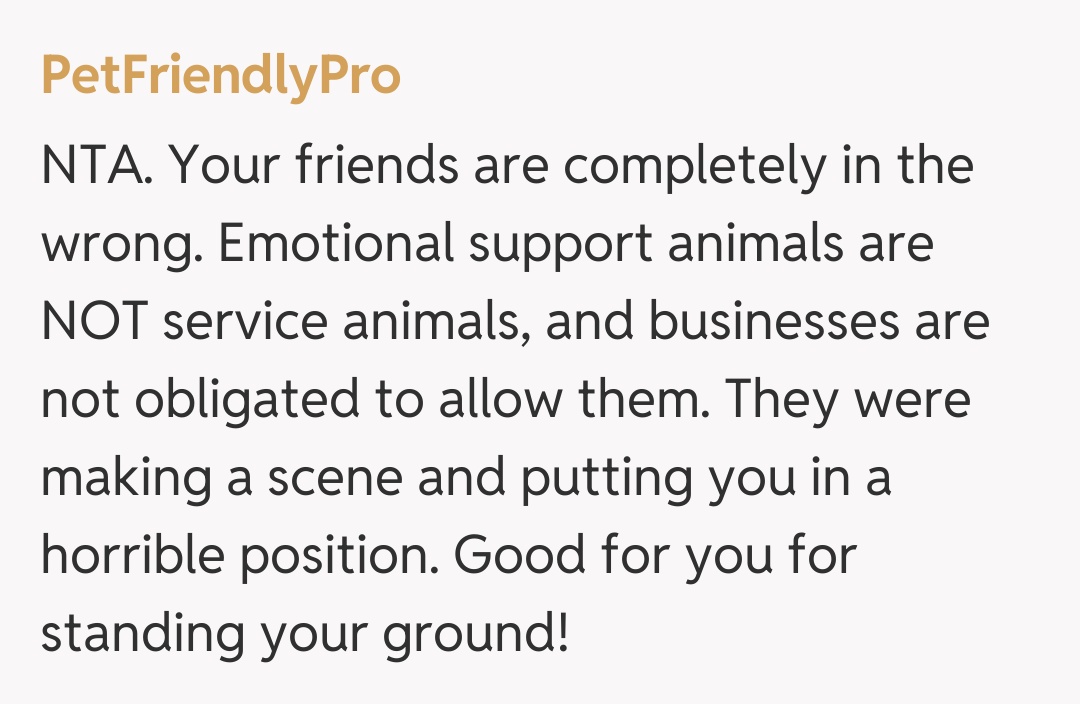 Comentariu de la PetFriendlyPro