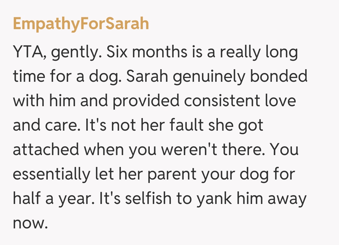 Comentariu de la EmpathyForSarah