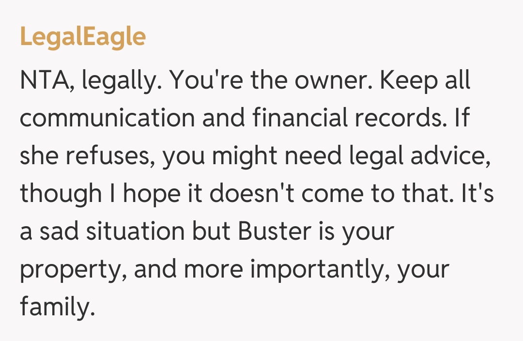 Comentariu de la LegalEagle