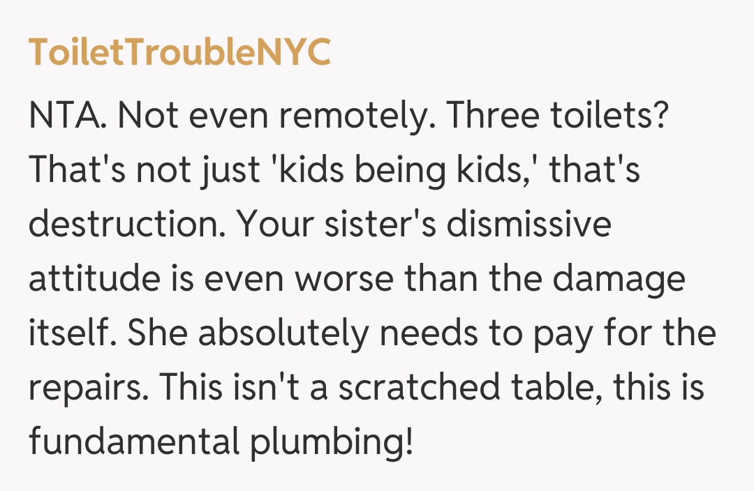 Comentariu de la ToiletTroubleNYC
