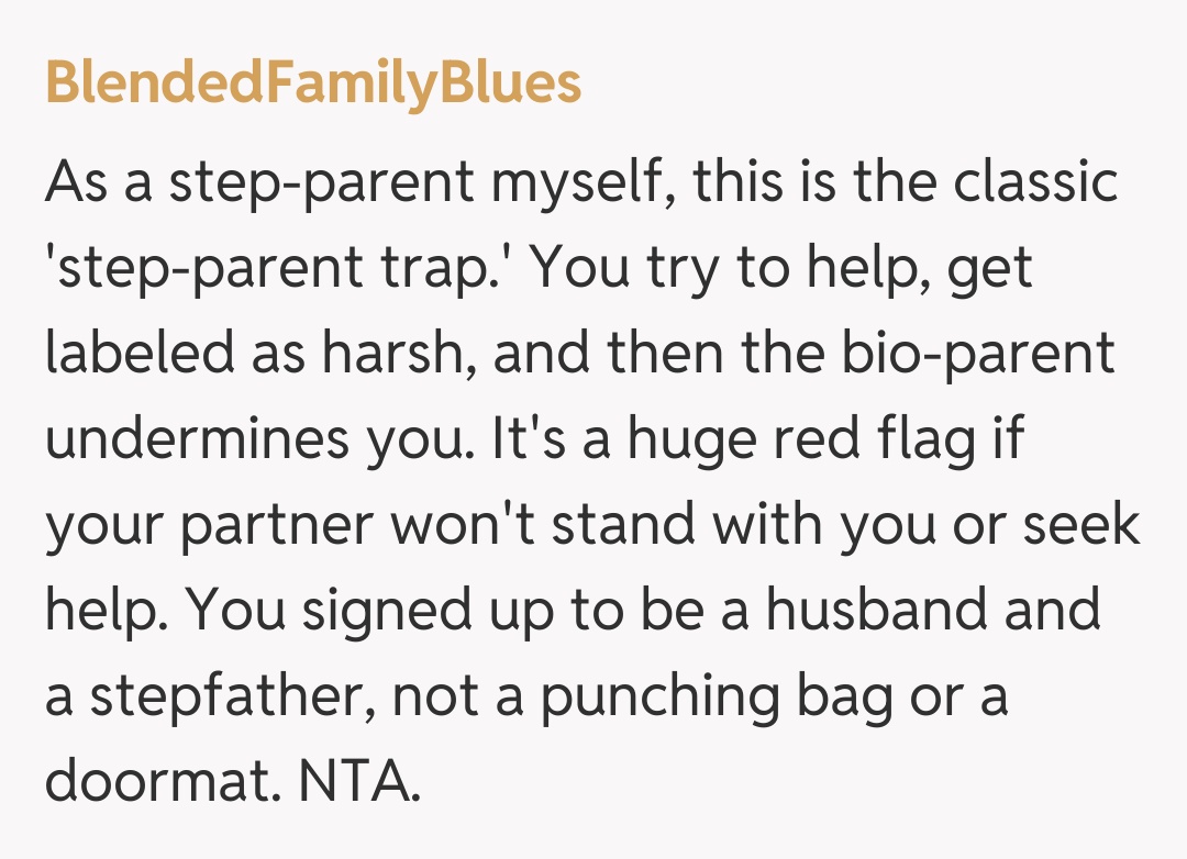 Comentariu de la BlendedFamilyBlues