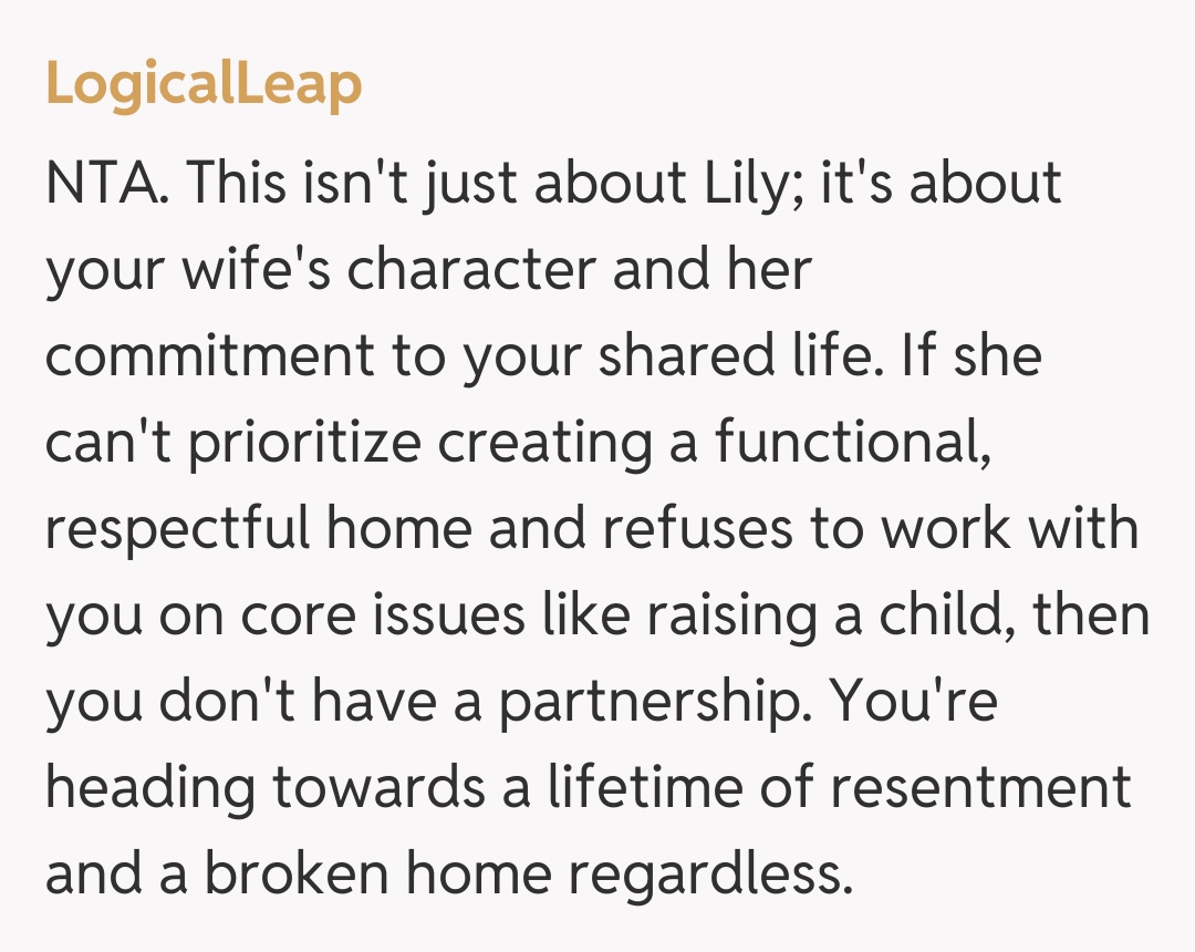 Comentariu de la LogicalLeap