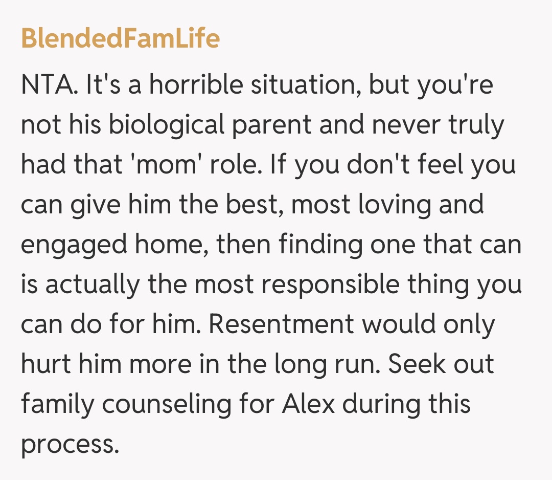 Comentariu de la BlendedFamLife