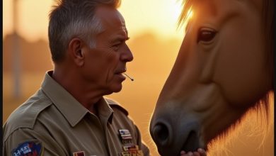 Photo of A Veteran Returned to See His Old War Horse — What Happened in That Rain-Soaked Corral Was Beyond Belief