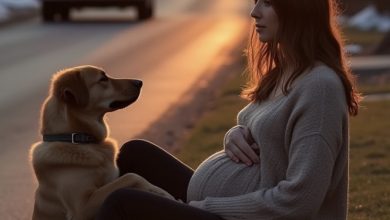 Photo of Our Neighbor Mocked Our Shelter Dog for Months — Then Fate Revealed He Was Her Late Brother’s Trained Companion