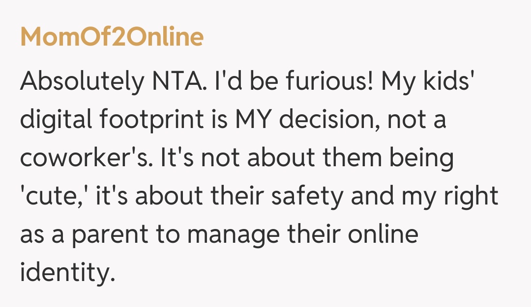 Comentariu de la MomOf2Online