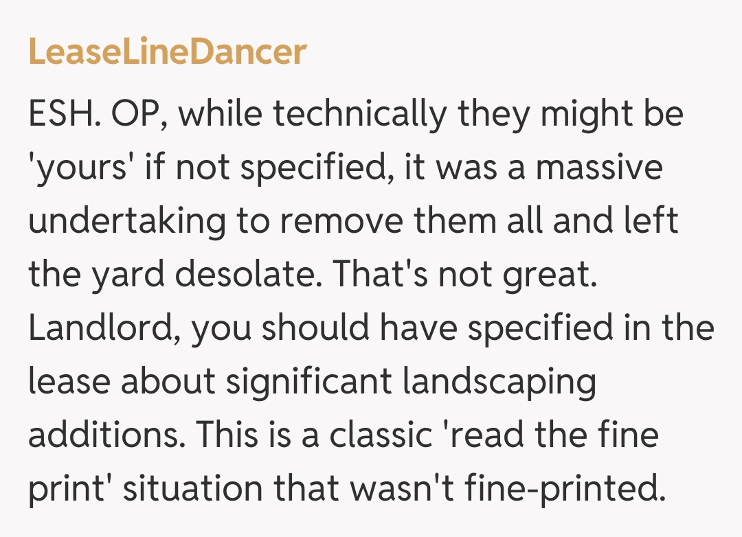 Comentariu de la LeaseLineDancer