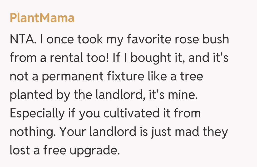 Comentariu de la PlantMama