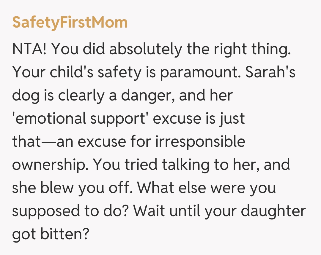 Comentariu de la SafetyFirstMom