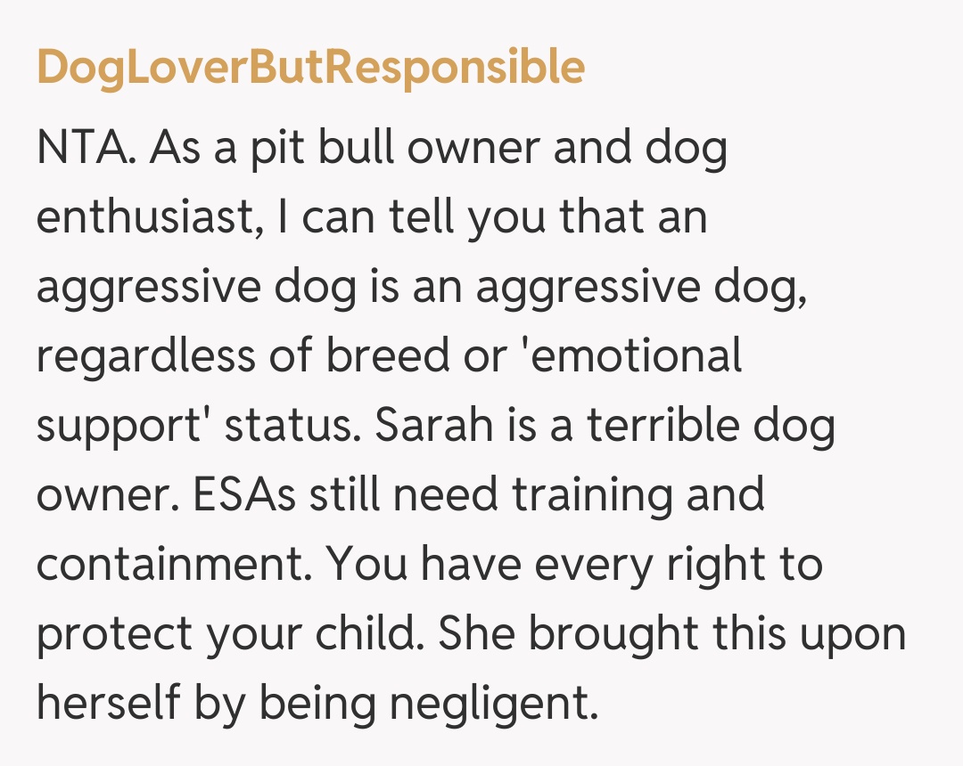 Comentariu de la DogLoverButResponsible