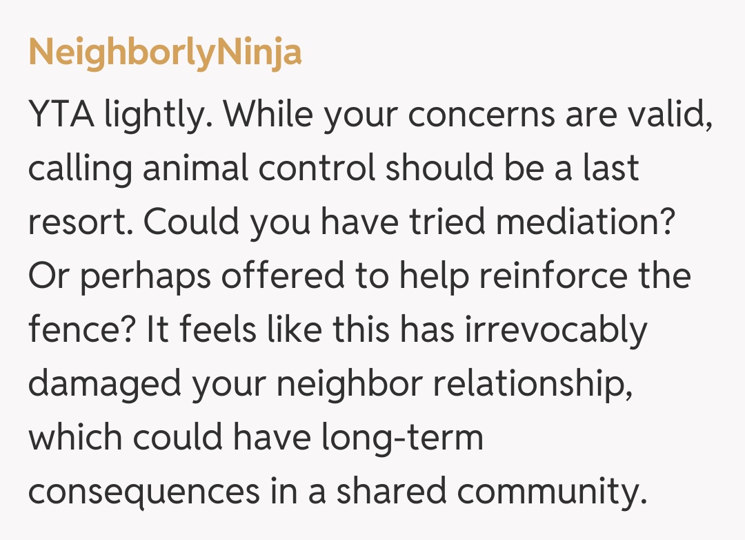 Comentariu de la NeighborlyNinja